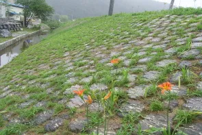 산돌사면블록 호안 시공 3